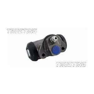 CF589 TRUSTING