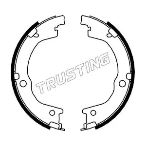 049.165 TRUSTING