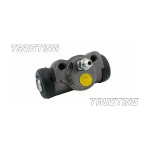 CF308 TRUSTING