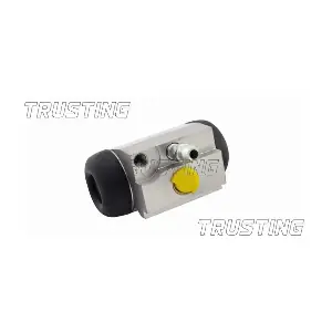 CF583 TRUSTING