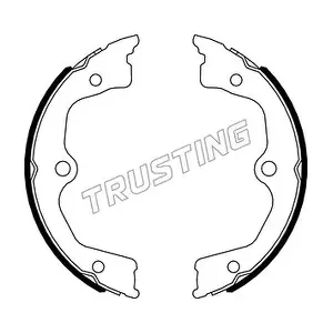 044030 TRUSTING