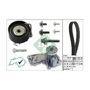 530 0495 30 Schaeffler INA