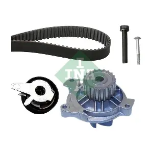 530 0173 30 Schaeffler INA