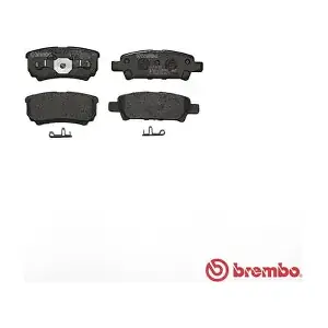 P54034 A.B.S.