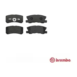 P54031 A.B.S.