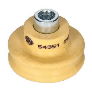 54351 BIRTH