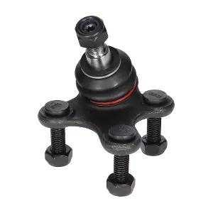 CS0013 BIRTH