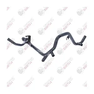 54209 BIRTH