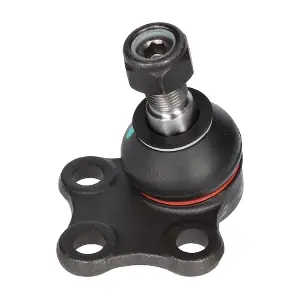 CX9242 BIRTH
