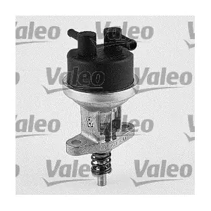 247095 VALEO
