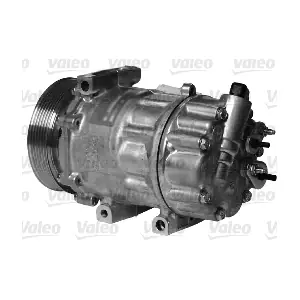 813161 VALEO