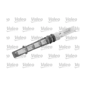 509291 VALEO