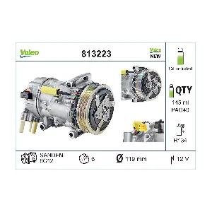813223 VALEO