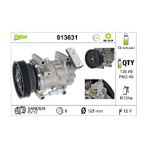 813631 VALEO