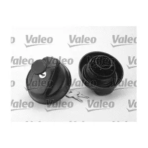 247708 VALEO