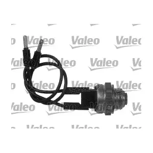 819825 VALEO