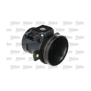 366303 VALEO