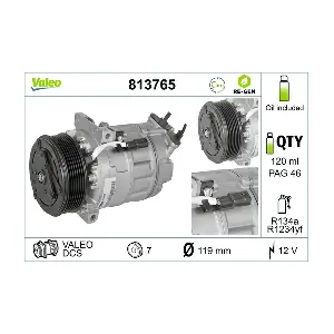 813765 VALEO