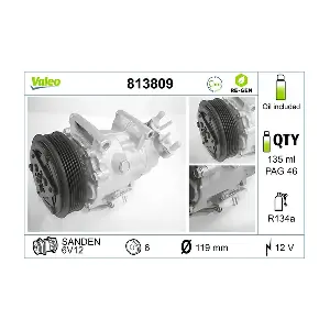 813809 VALEO
