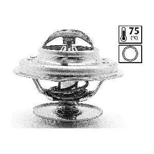 819870 VALEO