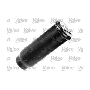 509795 VALEO