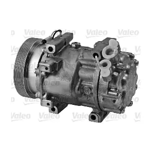 813198 VALEO
