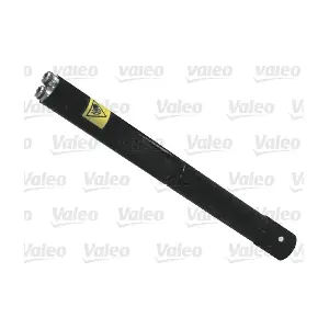 509933 VALEO
