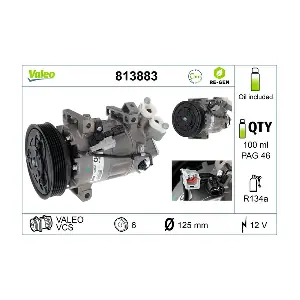 813883 VALEO