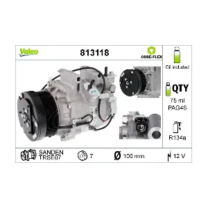 813118 VALEO