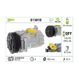 813818 VALEO