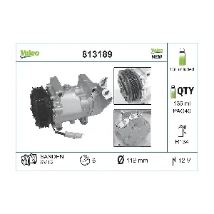813189 VALEO