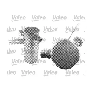 509557 VALEO