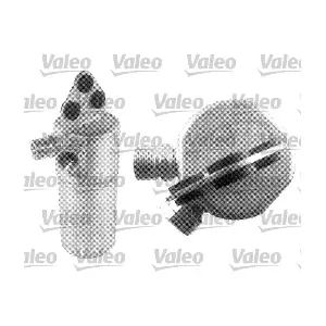 509501 VALEO