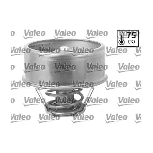 819856 VALEO