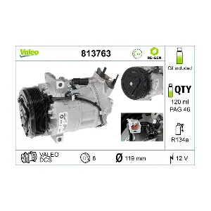 813763 VALEO
