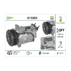 813263 VALEO