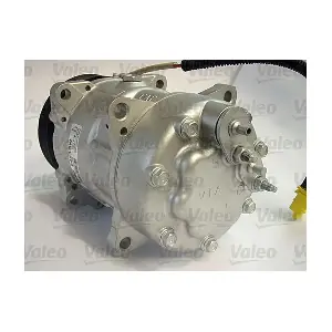 813810 VALEO