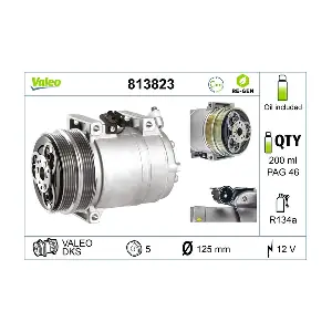 813823 VALEO