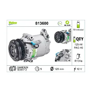 813600 VALEO