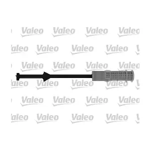 509791 VALEO