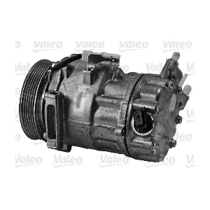 813162 VALEO