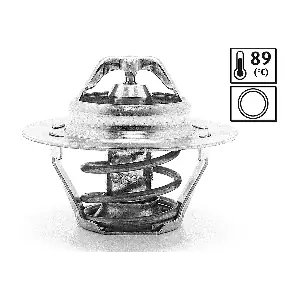 819862 VALEO