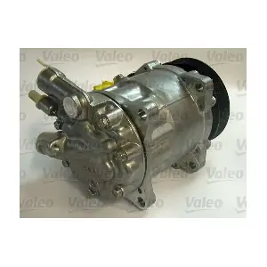 813713 VALEO