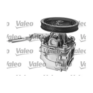 506271 VALEO