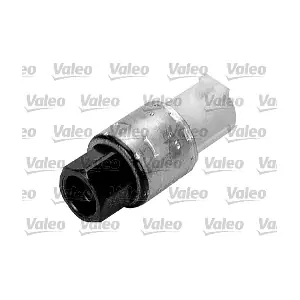 509482 VALEO