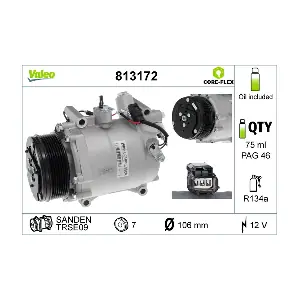 813172 VALEO