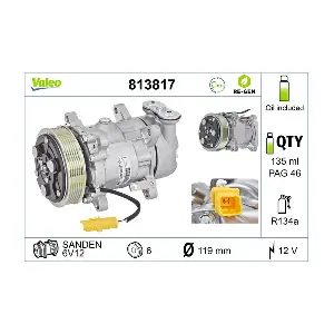 813817 VALEO