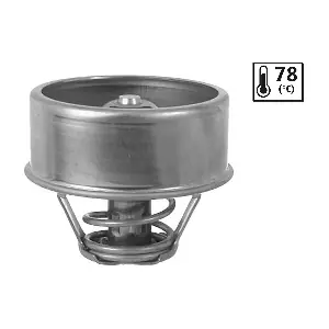 819877 VALEO