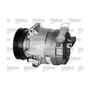 699391 VALEO