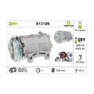 813109 VALEO